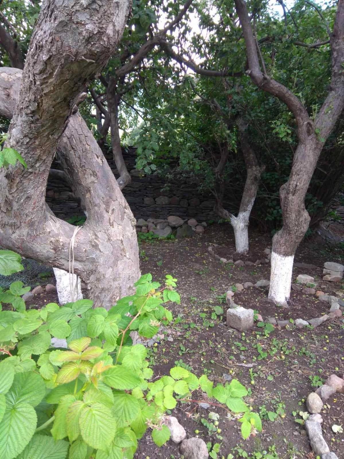 ホテル House In Gergeti カズベギ エクステリア 写真